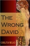 the-wrong-david-kdp-cover-4
